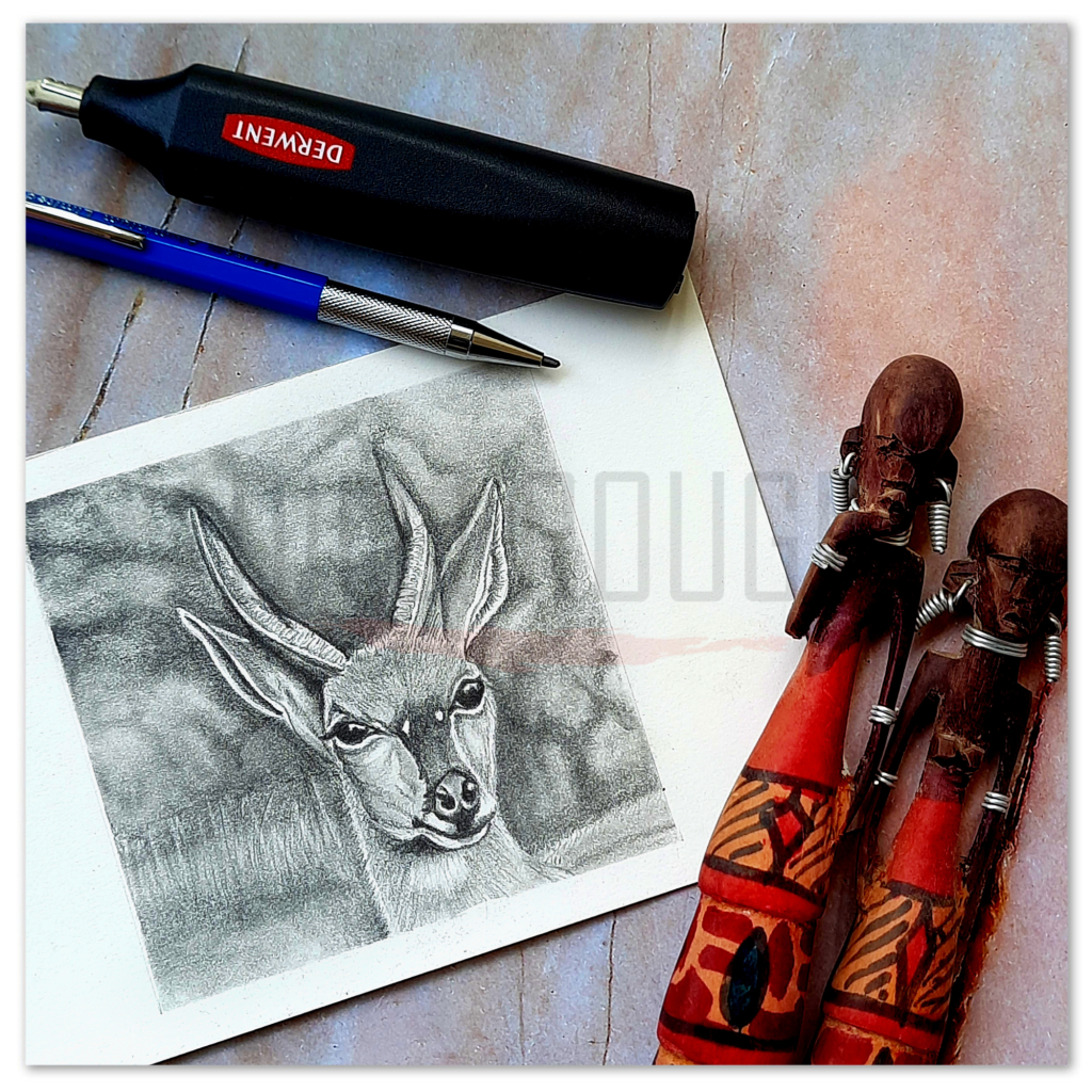 Kudu - Graphite Animal Portrait A5 Cold pressed Aquarelle paper