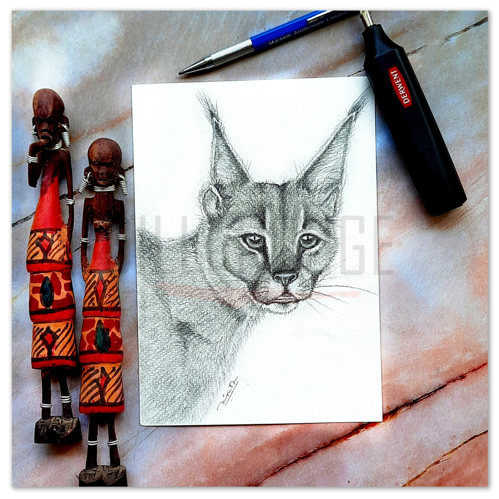 Caracal - Graphite Animal Portrait A5 Cold pressed Aquarelle paper